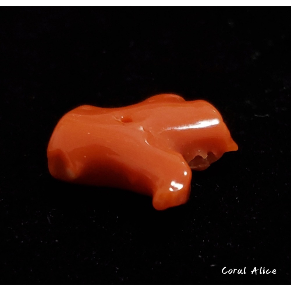 🌟Coral珊寶手作-天然阿卡珊瑚自然枝塊(中間直通孔) 17.1*16.5*7.2mm CO2P1-258-細節圖3