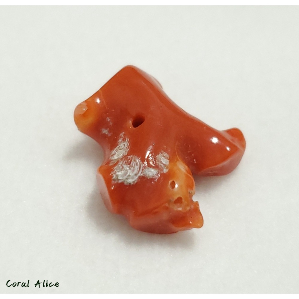 🌟Coral珊寶手作-天然阿卡珊瑚自然枝塊(中間直通孔) 17.1*16.5*7.2mm CO2P1-258-細節圖7