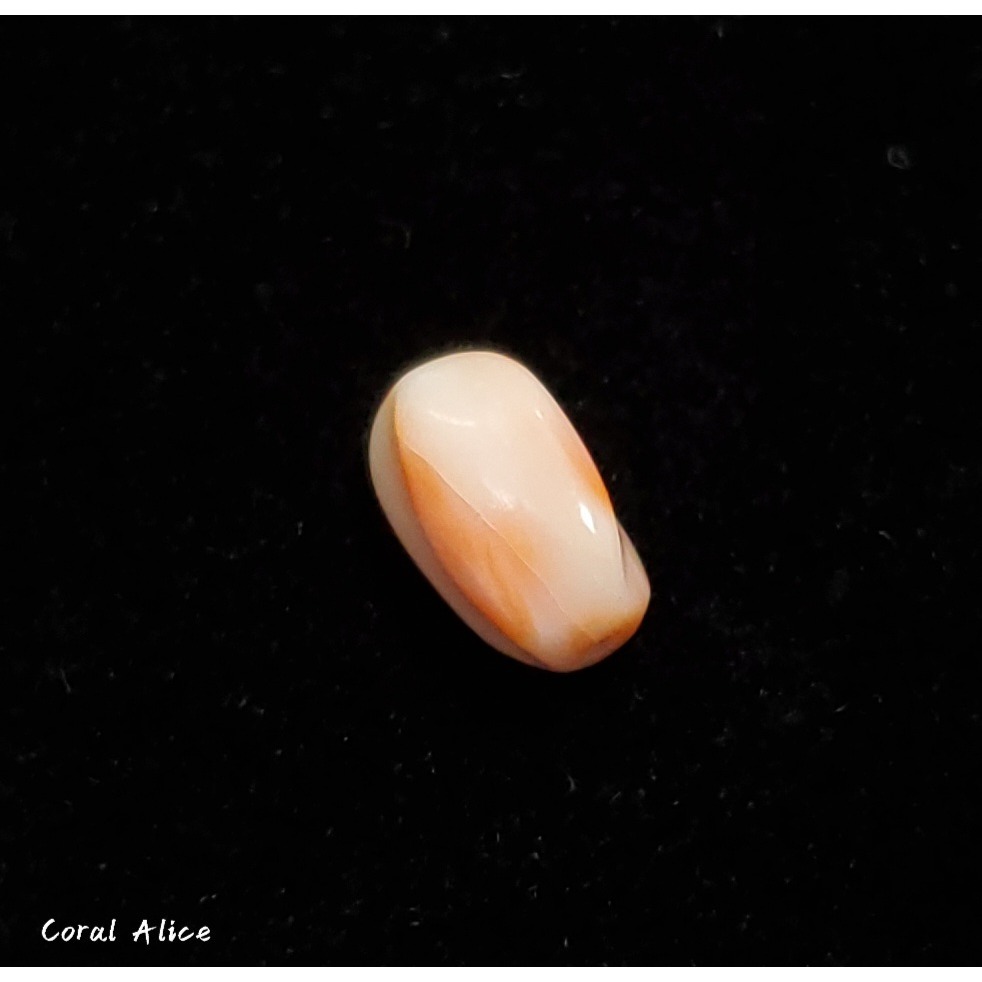 🌟Coral珊寶手作-天然深水珊瑚螺旋珠(直通孔) 10.1*6.6mm CO2P1-259-細節圖2