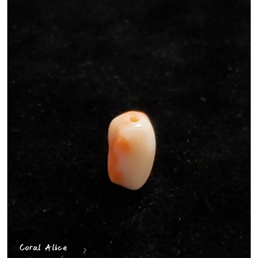 🌟Coral珊寶手作-天然深水珊瑚螺旋珠(直通孔) 10.1*6.6mm CO2P1-259-細節圖3