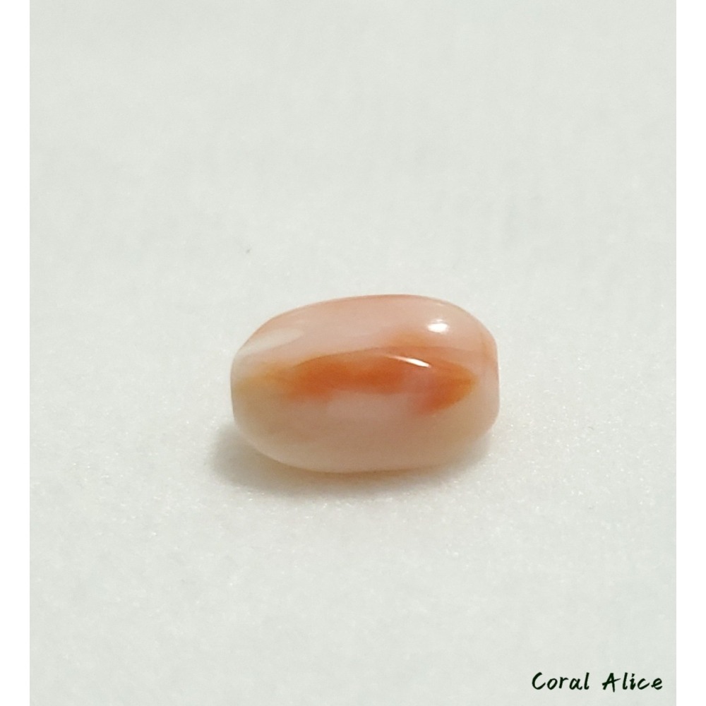 🌟Coral珊寶手作-天然深水珊瑚螺旋珠(直通孔) 10.1*6.6mm CO2P1-259-細節圖8