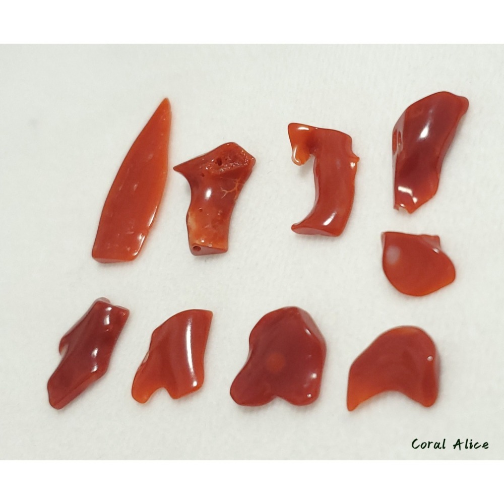 🌟Coral珊寶手作-天然阿卡珊瑚自然型裸石(無孔) CO2P1-260-細節圖7