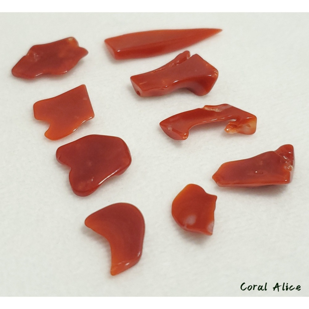🌟Coral珊寶手作-天然阿卡珊瑚自然型裸石(無孔) CO2P1-260-細節圖9