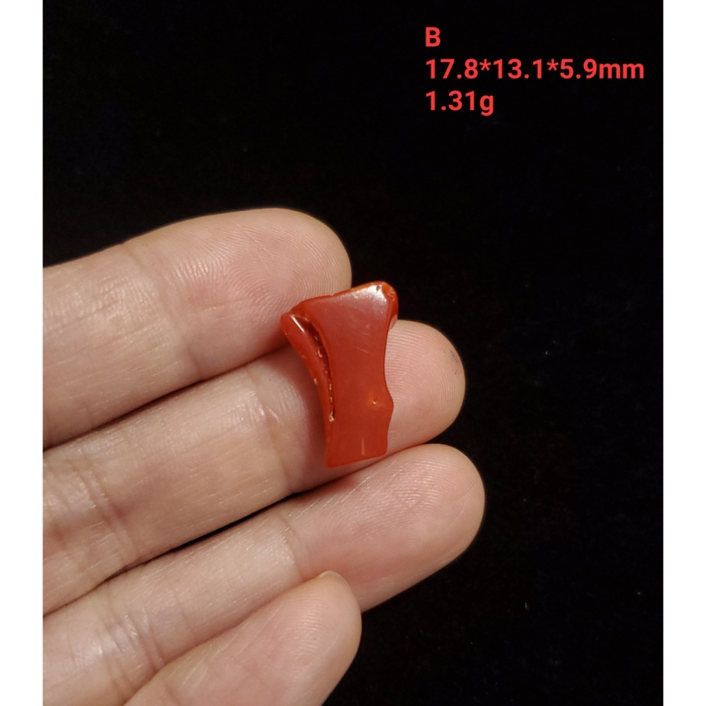 🌟Coral珊寶手作-天然阿卡珊瑚自然型裸石(無孔) CO2P1-260-規格圖11