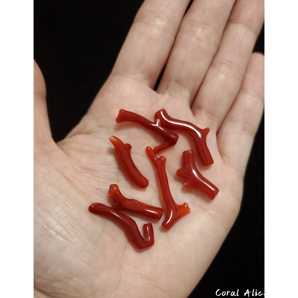 🌟Coral珊寶手作-天然阿卡珊瑚自然枝(無孔) 20.8-33.0mm CO2P1-261-細節圖6