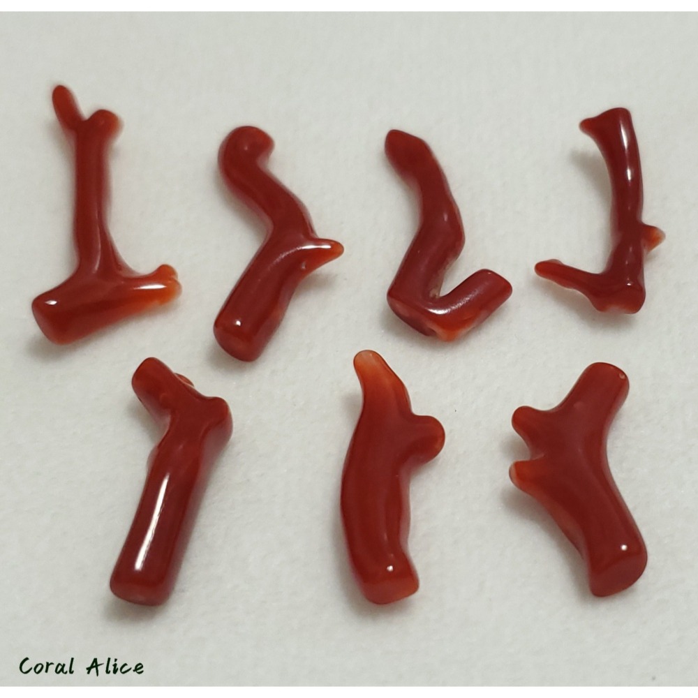 🌟Coral珊寶手作-天然阿卡珊瑚自然枝(無孔) 20.8-33.0mm CO2P1-261-細節圖7