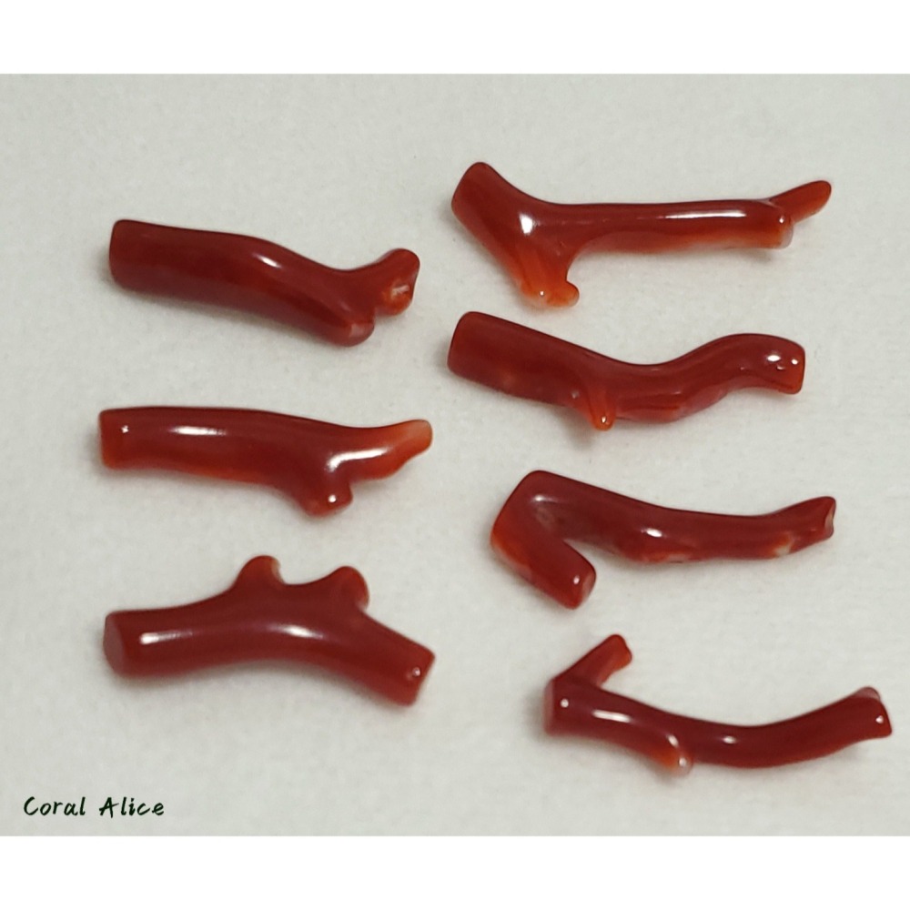 🌟Coral珊寶手作-天然阿卡珊瑚自然枝(無孔) 20.8-33.0mm CO2P1-261-細節圖8