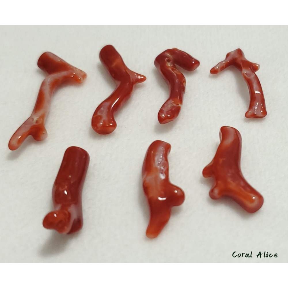 🌟Coral珊寶手作-天然阿卡珊瑚自然枝(無孔) 20.8-33.0mm CO2P1-261-細節圖9