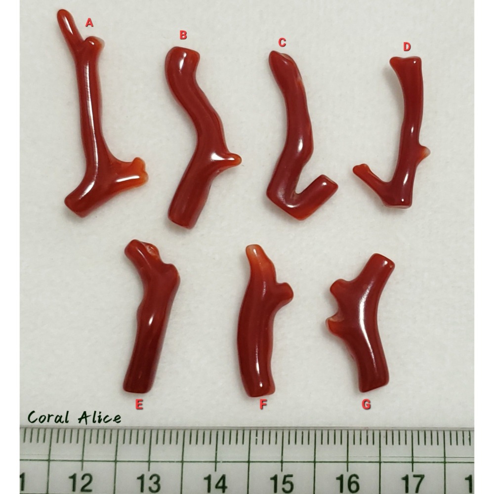 🌟Coral珊寶手作-天然阿卡珊瑚自然枝(無孔) 20.8-33.0mm CO2P1-261-細節圖11
