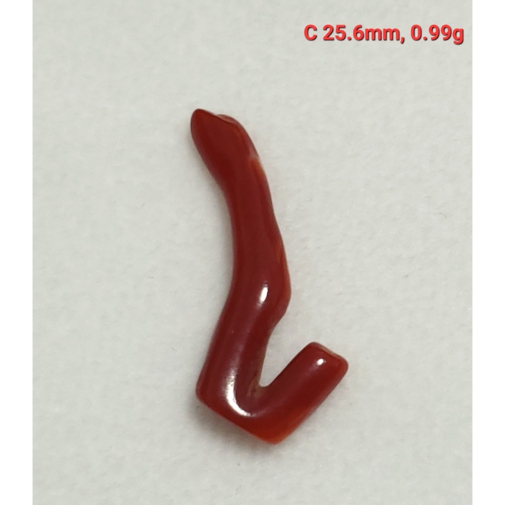 🌟Coral珊寶手作-天然阿卡珊瑚自然枝(無孔) 20.8-33.0mm CO2P1-261-規格圖11