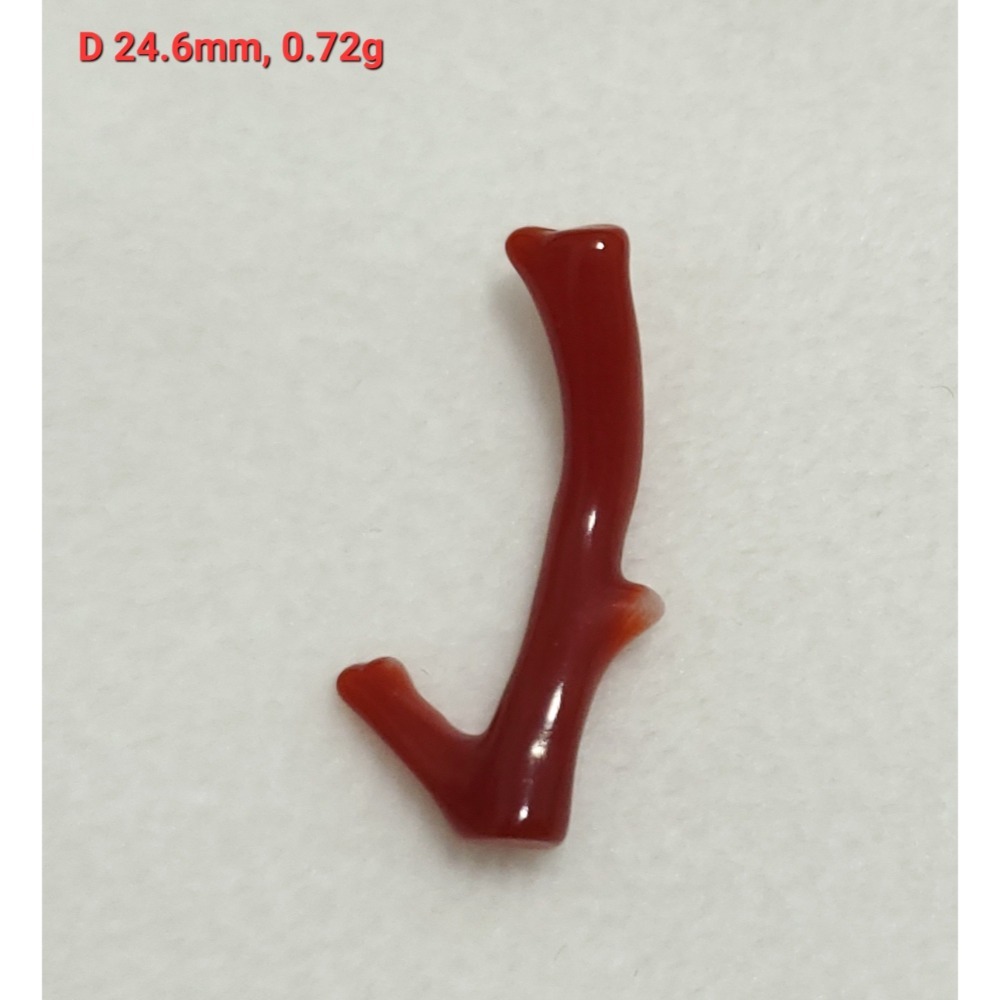 🌟Coral珊寶手作-天然阿卡珊瑚自然枝(無孔) 20.8-33.0mm CO2P1-261-規格圖11