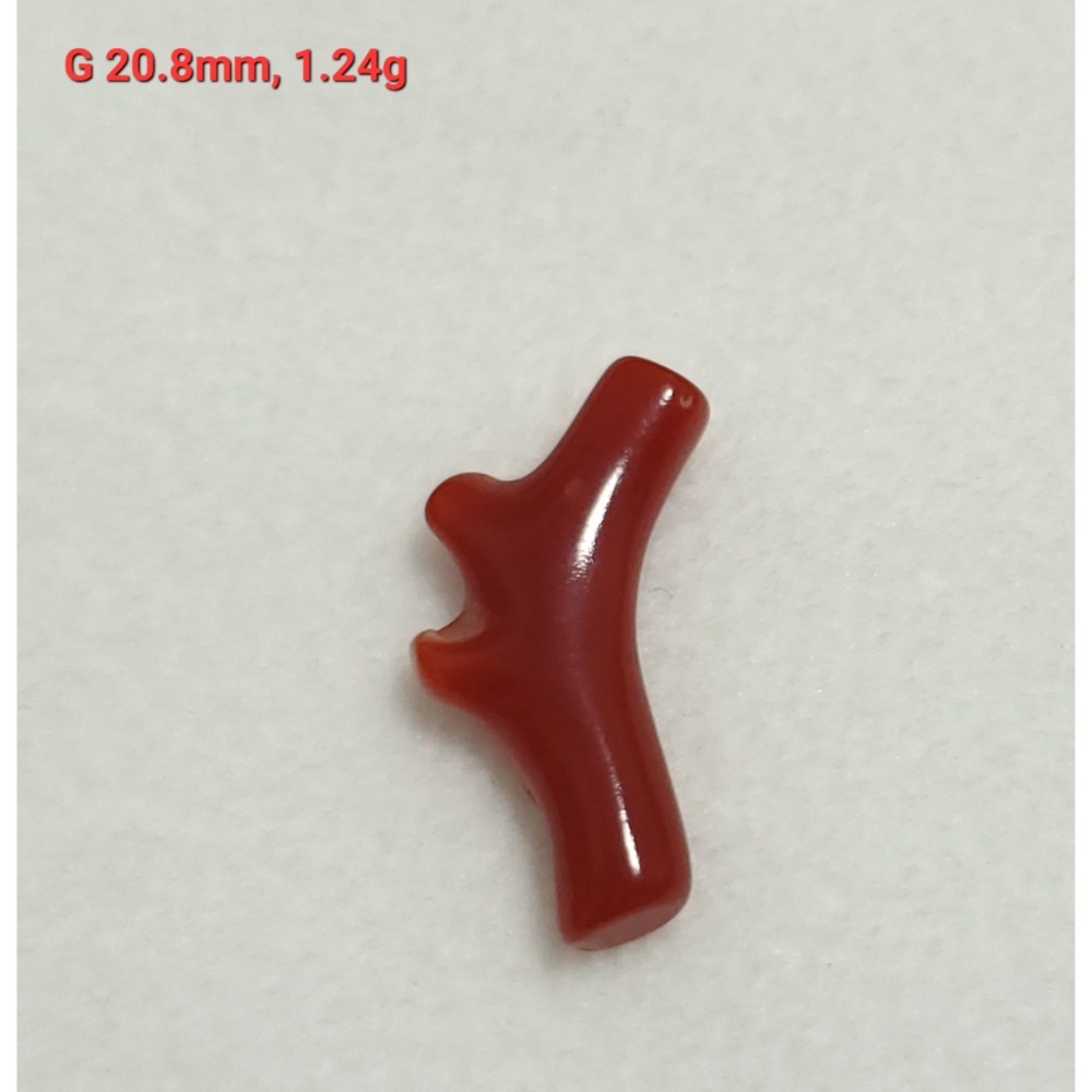 🌟Coral珊寶手作-天然阿卡珊瑚自然枝(無孔) 20.8-33.0mm CO2P1-261-規格圖11