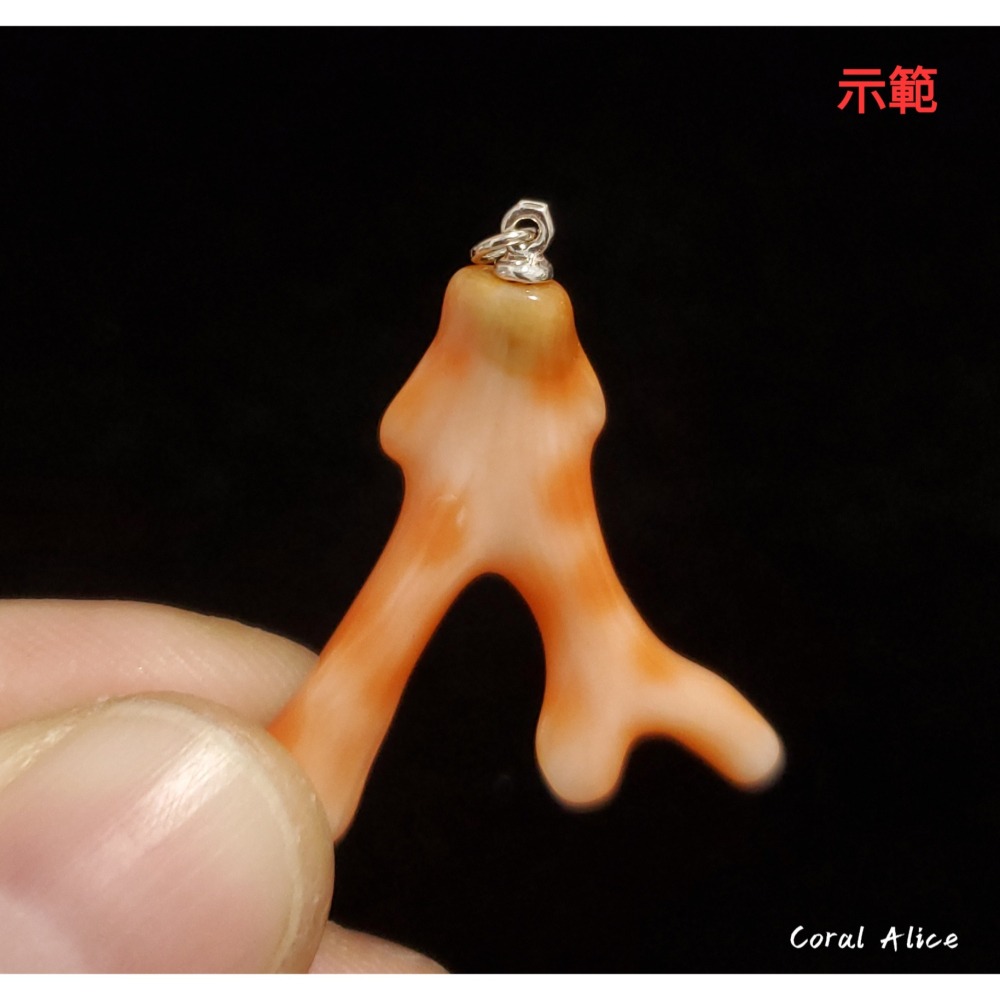🌟Coral珊寶手作-天然深水珊瑚自然枝 CO2P1-269-細節圖9