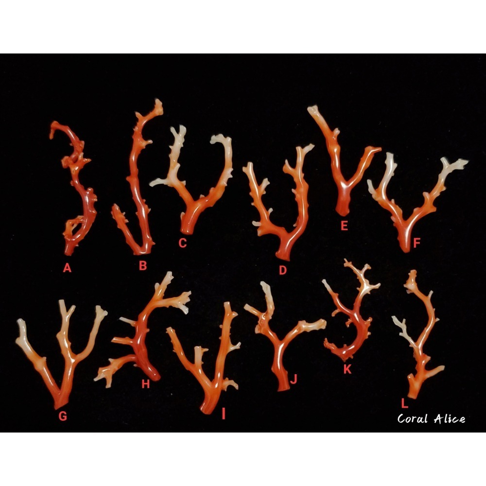 🌟Coral珊寶手作-天然阿卡珊瑚/紅珊瑚自然枝 CO2P1-272-細節圖3