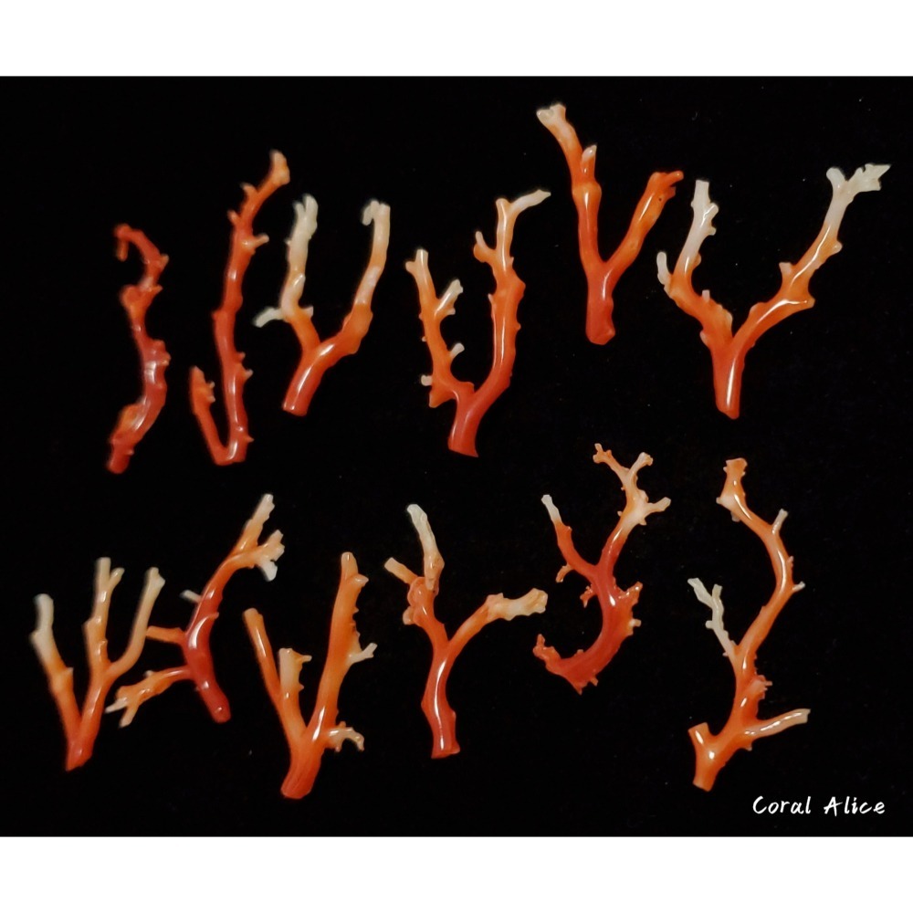 🌟Coral珊寶手作-天然阿卡珊瑚/紅珊瑚自然枝 CO2P1-272-細節圖4