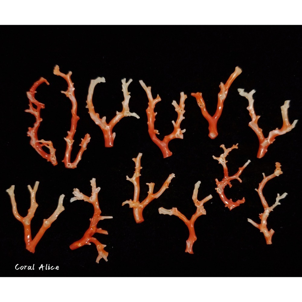 🌟Coral珊寶手作-天然阿卡珊瑚/紅珊瑚自然枝 CO2P1-272-細節圖5