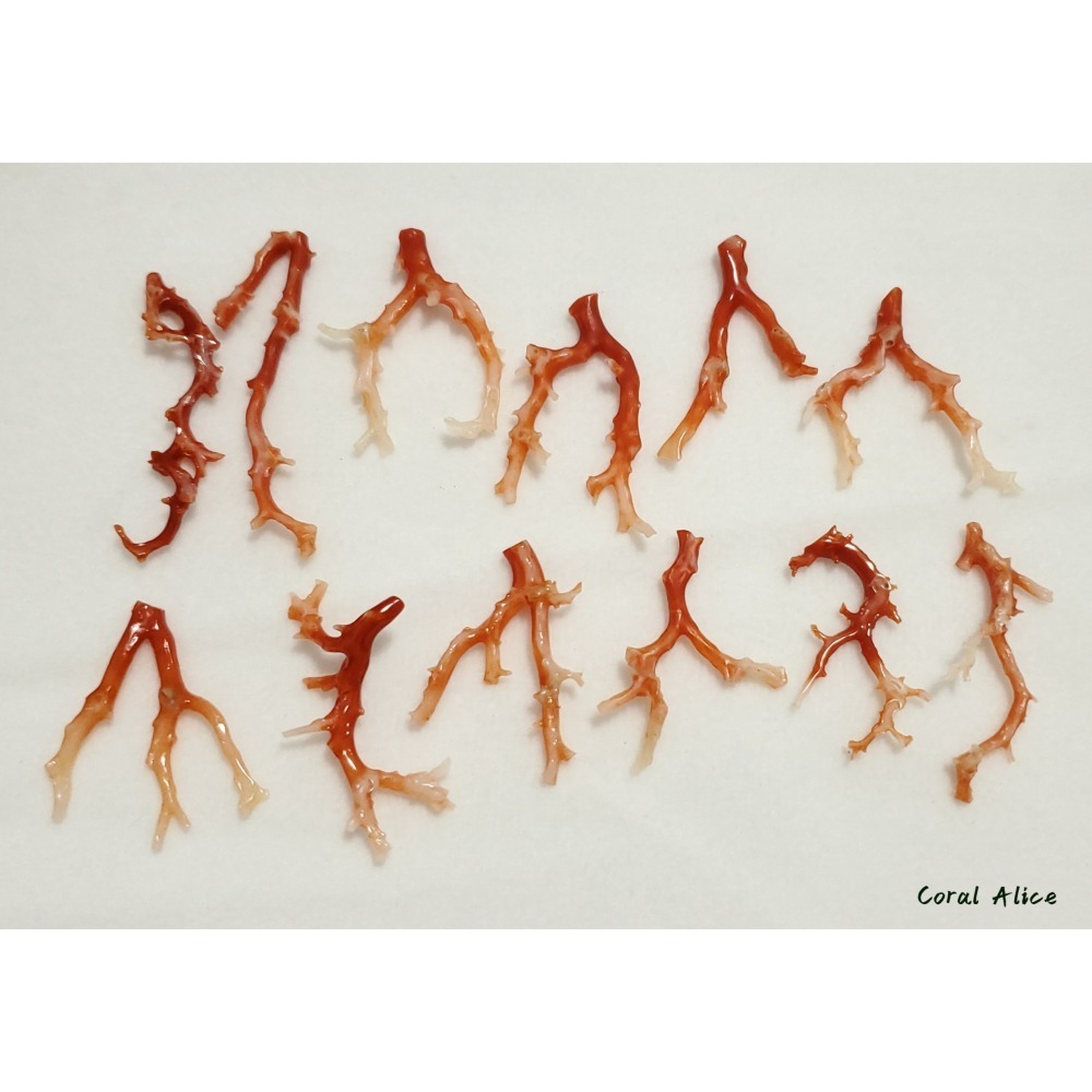 🌟Coral珊寶手作-天然阿卡珊瑚/紅珊瑚自然枝 CO2P1-272-細節圖9