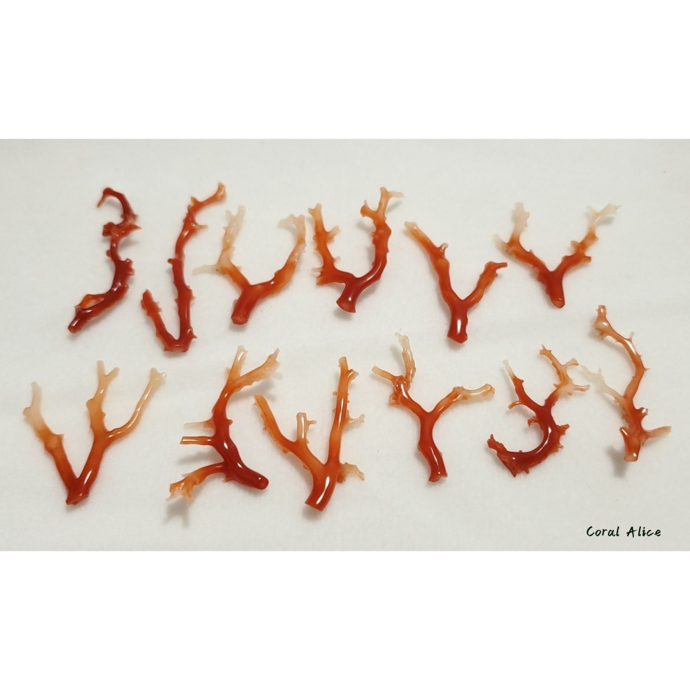 🌟Coral珊寶手作-天然阿卡珊瑚/紅珊瑚自然枝 CO2P1-272-細節圖10