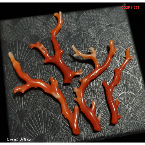 🌟Coral珊寶手作-天然阿卡珊瑚/紅珊瑚自然枝 CO2P1-273