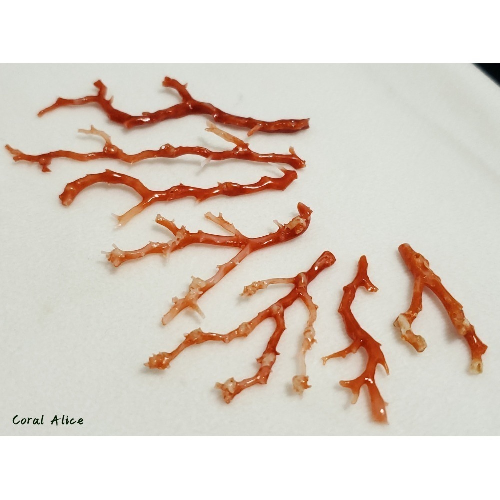 🌟Coral珊寶手作-天然阿卡珊瑚自然枝 37.1-80.0mm CO2P1-276-細節圖10