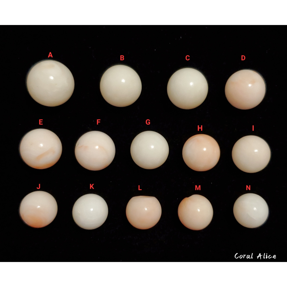 🌟Coral珊寶手作-天然白珊瑚/深水珊瑚圓珠(無孔) 9.6-13.1mm CO2P1-278-細節圖3