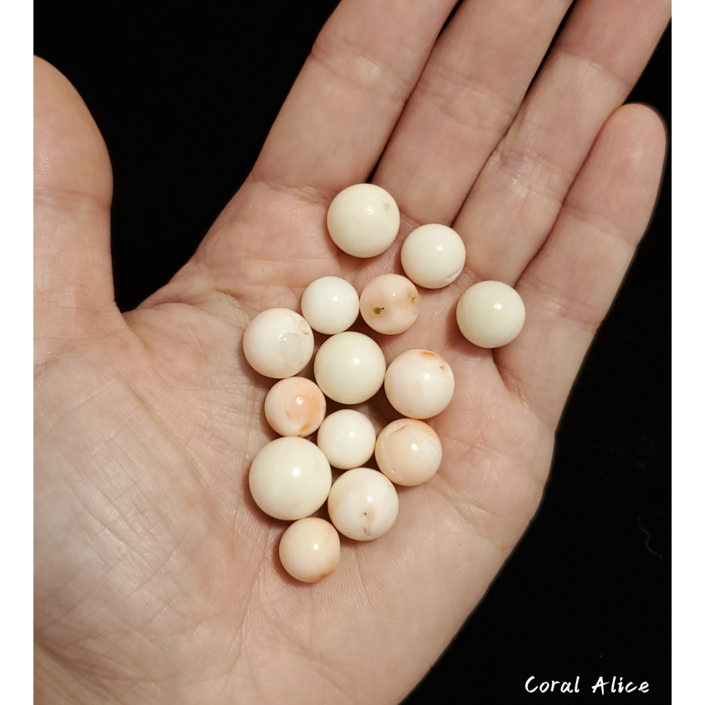 🌟Coral珊寶手作-天然白珊瑚/深水珊瑚圓珠(無孔) 9.6-13.1mm CO2P1-278-細節圖7