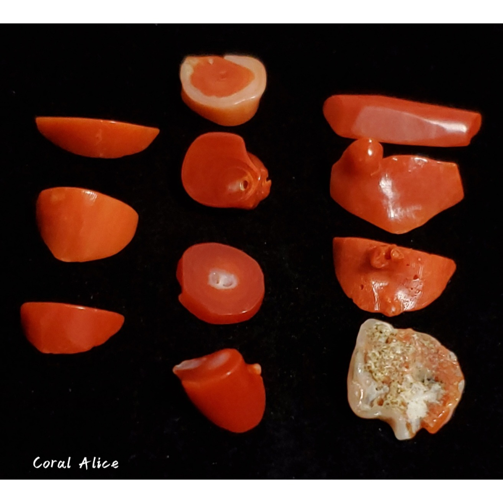 🌟Coral珊寶手作-天然阿卡珊瑚塊裸石(無孔) CO2P1-279-細節圖3