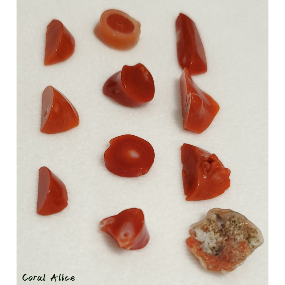 🌟Coral珊寶手作-天然阿卡珊瑚塊裸石(無孔) CO2P1-279-細節圖10