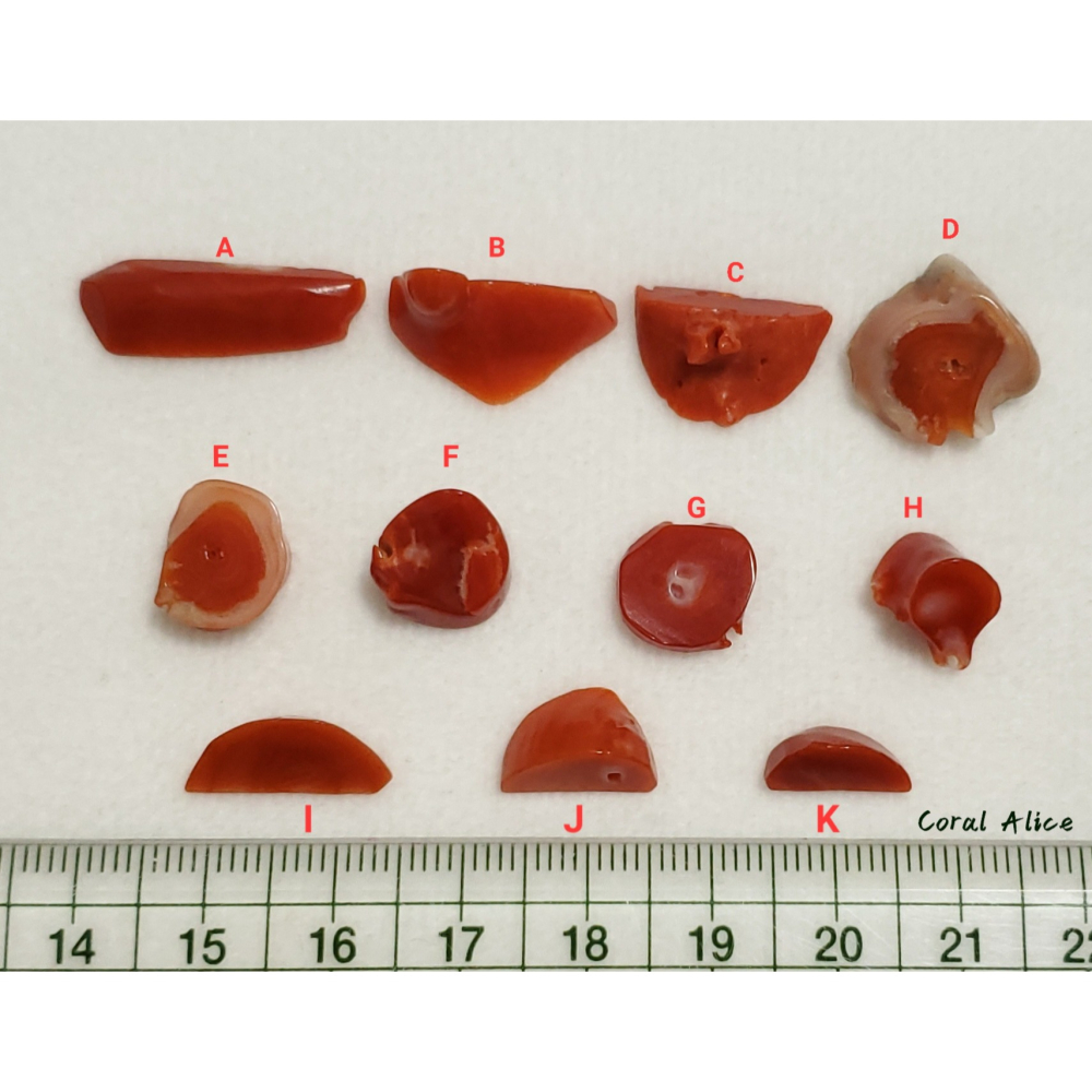 🌟Coral珊寶手作-天然阿卡珊瑚塊裸石(無孔) CO2P1-279-細節圖11