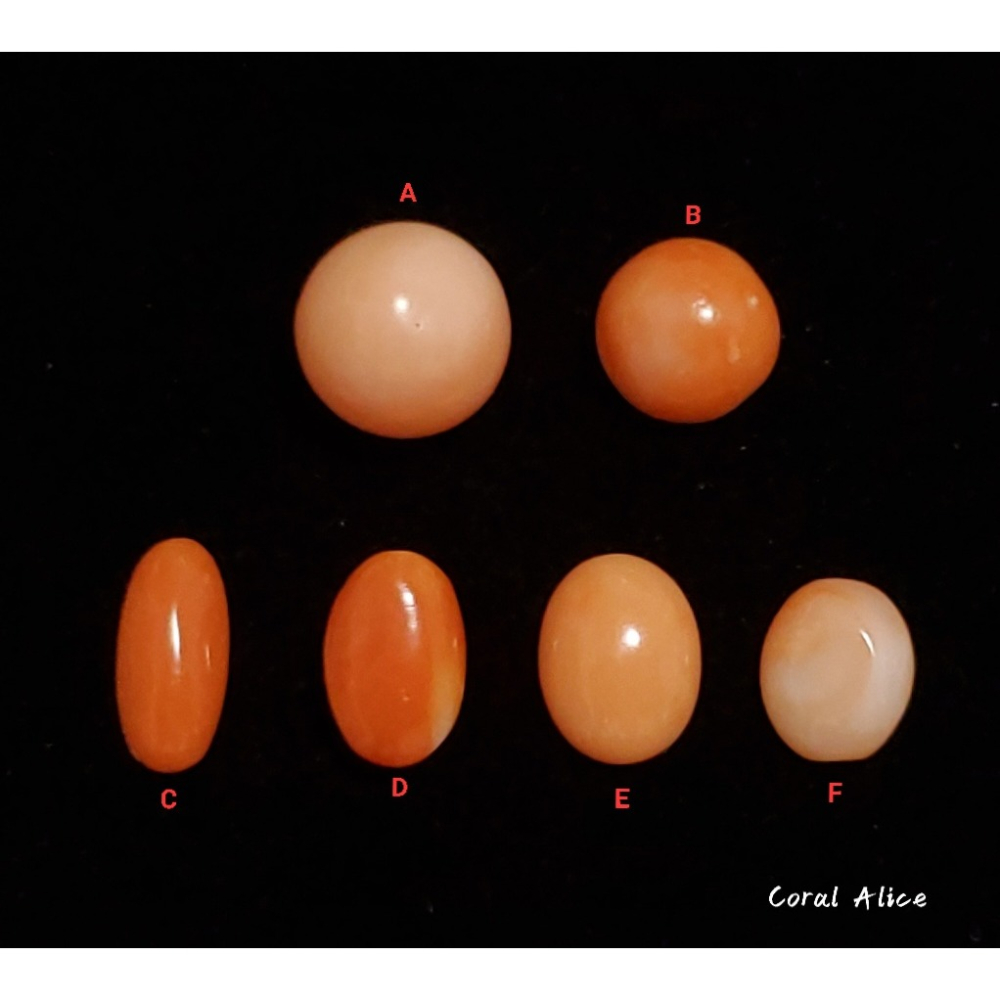 🌟Coral珊寶手作-天然珊瑚造型裸石 CO2P1-282-細節圖2