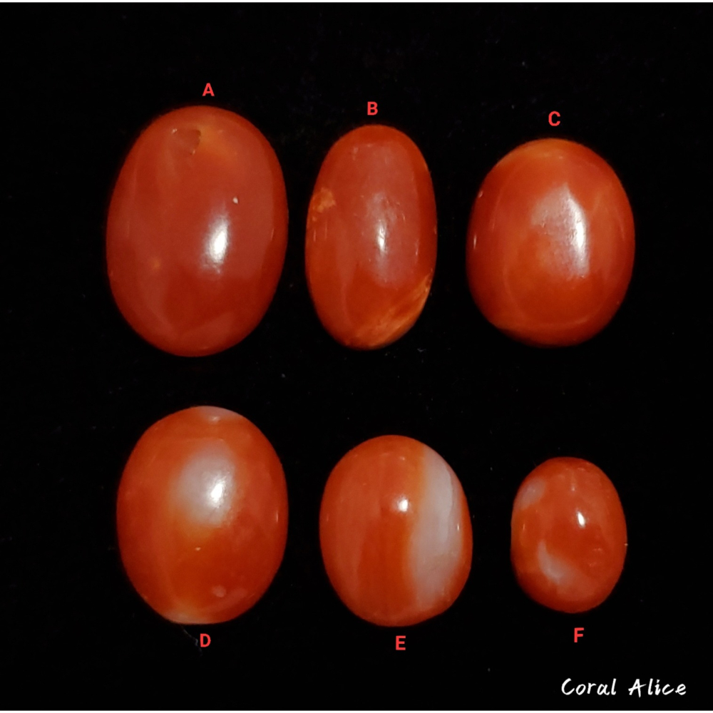 🌟Coral珊寶手作-天然阿卡珊瑚/紅珊瑚蛋面裸石 CO2P1-289-細節圖2
