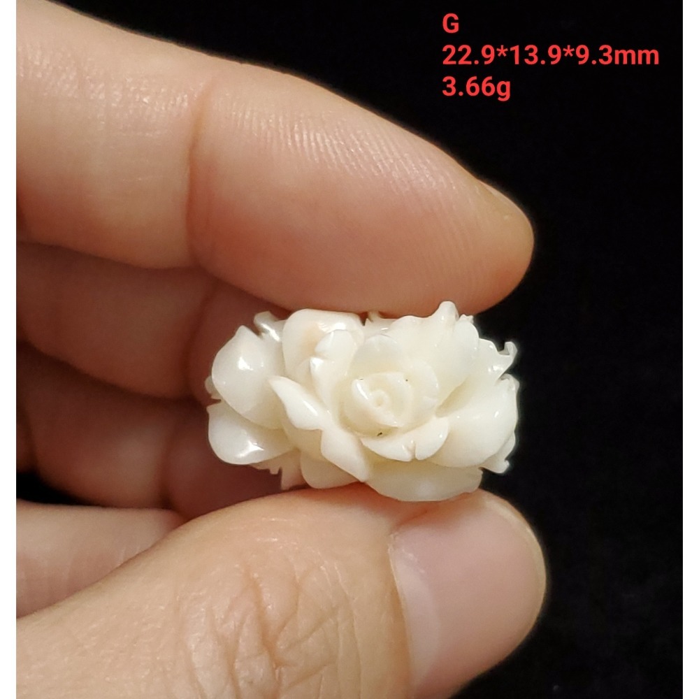 🌟Coral珊寶手作-天然白珊瑚手工刻花(半面玫瑰) CO2P1-296-規格圖11