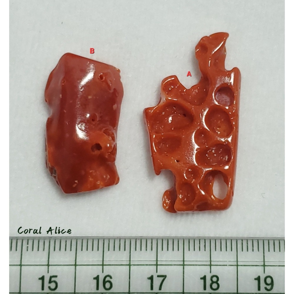 🌟Coral珊寶手作-天然阿卡珊瑚(蟲體)自然型裸石 CO2P1-307-細節圖9