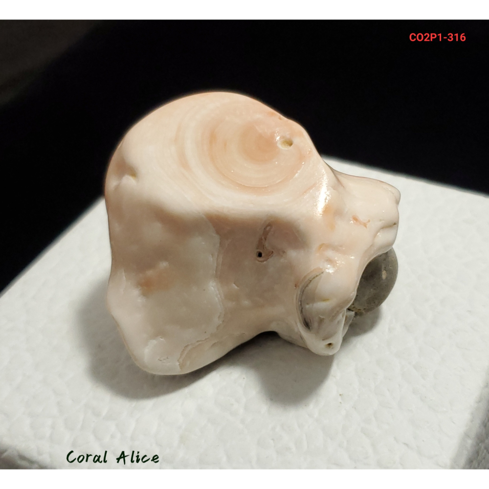 🌟Coral珊寶手作-天然珊瑚塊(帶礁石) 39.9*36.7*24.3mm CO2P1-316-細節圖2