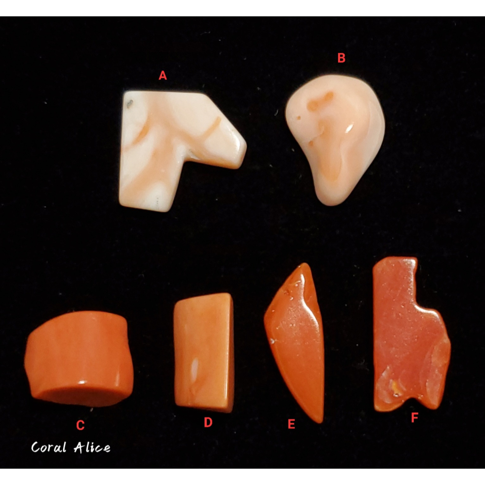 🌟Coral珊寶手作-天然寶石珊瑚(深水珊瑚/momo珊瑚/阿卡珊瑚)裸石 CO2P1-318-細節圖3