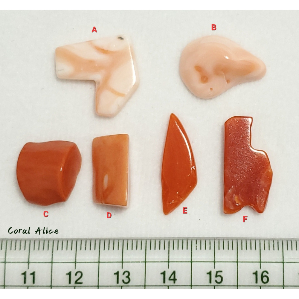🌟Coral珊寶手作-天然寶石珊瑚(深水珊瑚/momo珊瑚/阿卡珊瑚)裸石 CO2P1-318-細節圖11