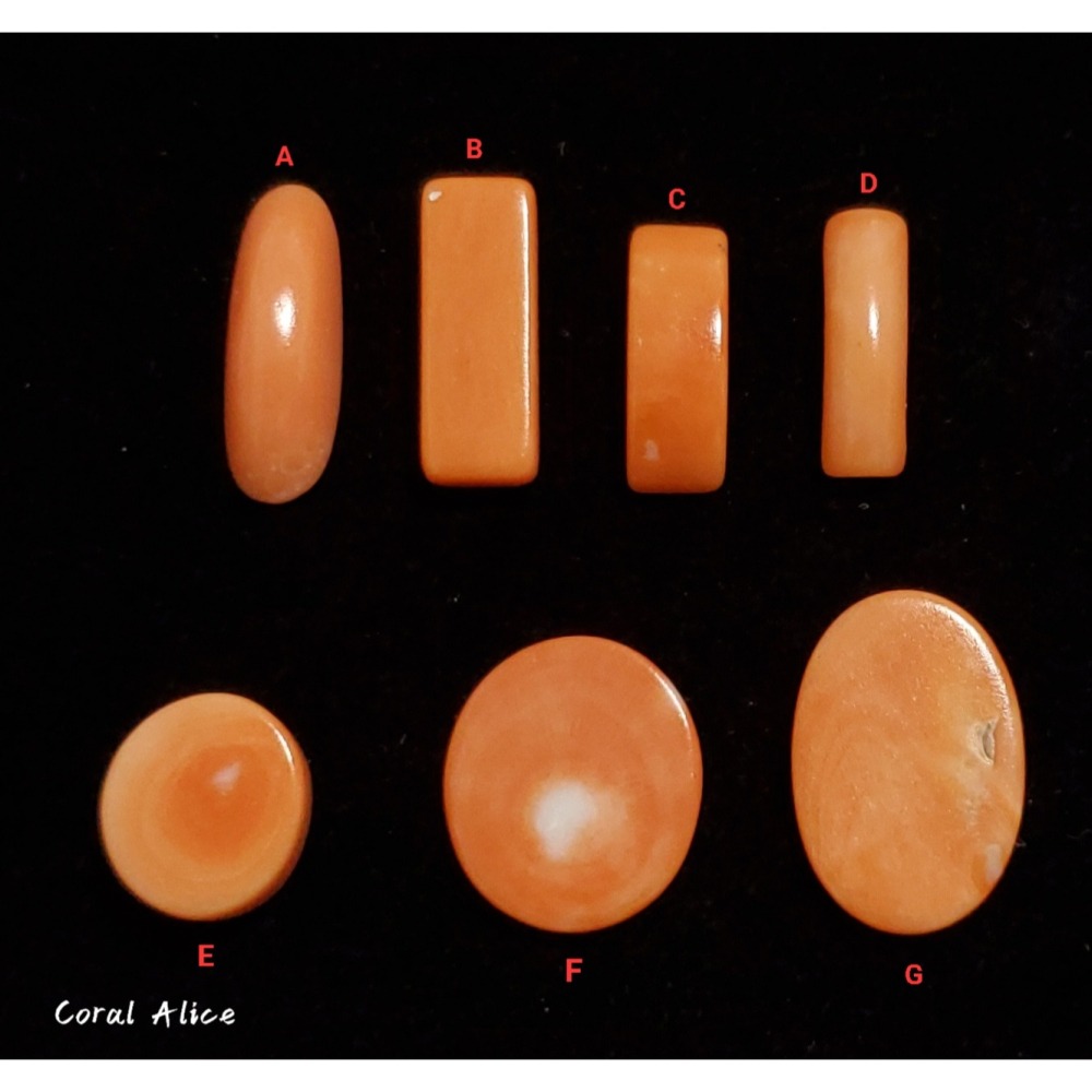 🌟Coral珊寶手作-天然momo珊瑚造型裸石 CO2P1-319-細節圖2