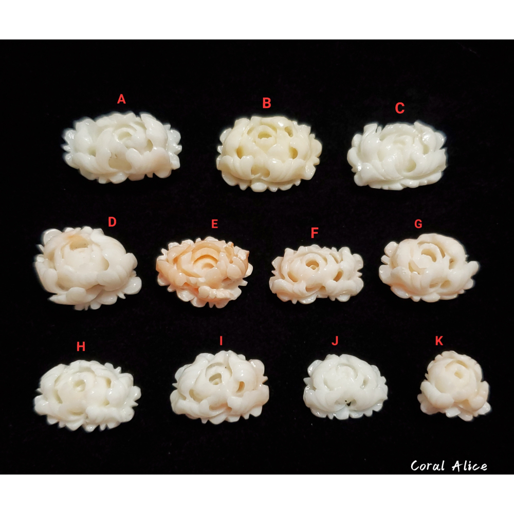 🌟Coral珊寶手作-天然白珊瑚/深水珊瑚手工雕刻花件(無打孔) CO2P1-321-細節圖2