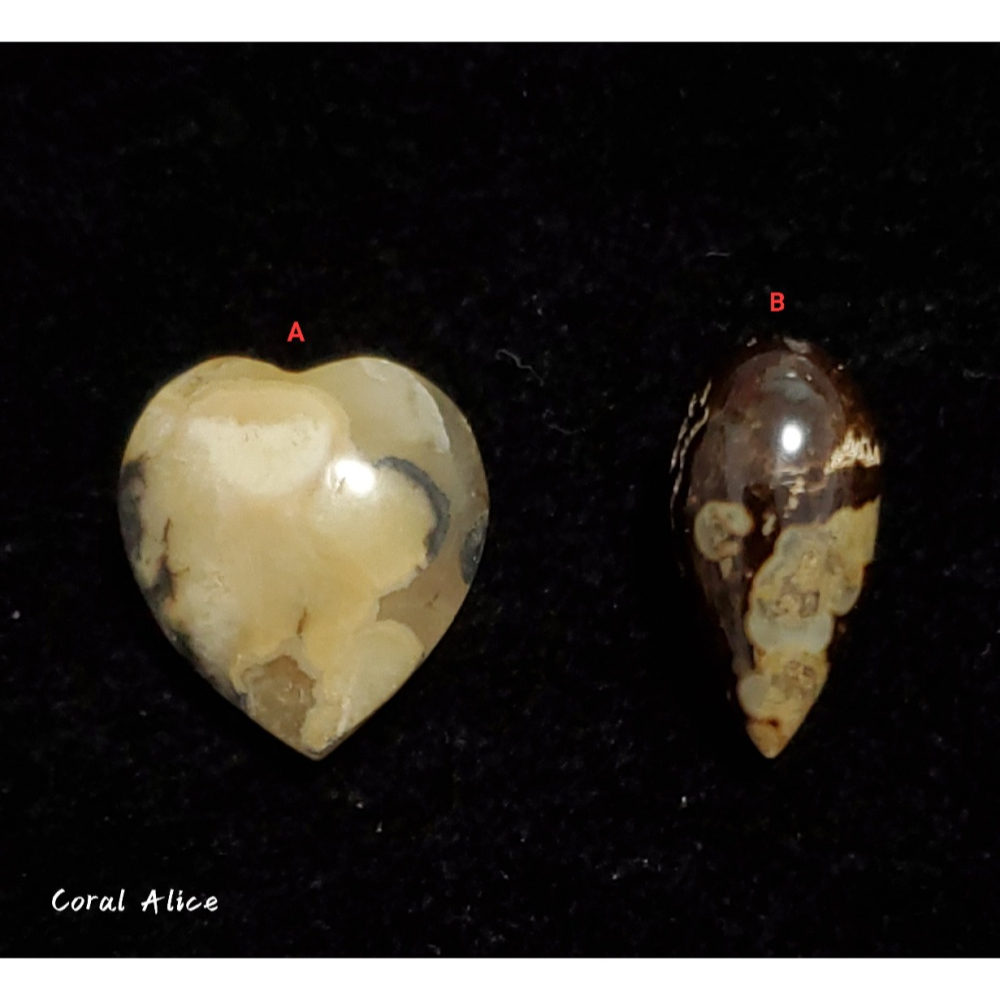 🌟Coral珊寶手作-天然臺灣澎湖文石造型裸石(頂半孔) JD2P1-806-細節圖2