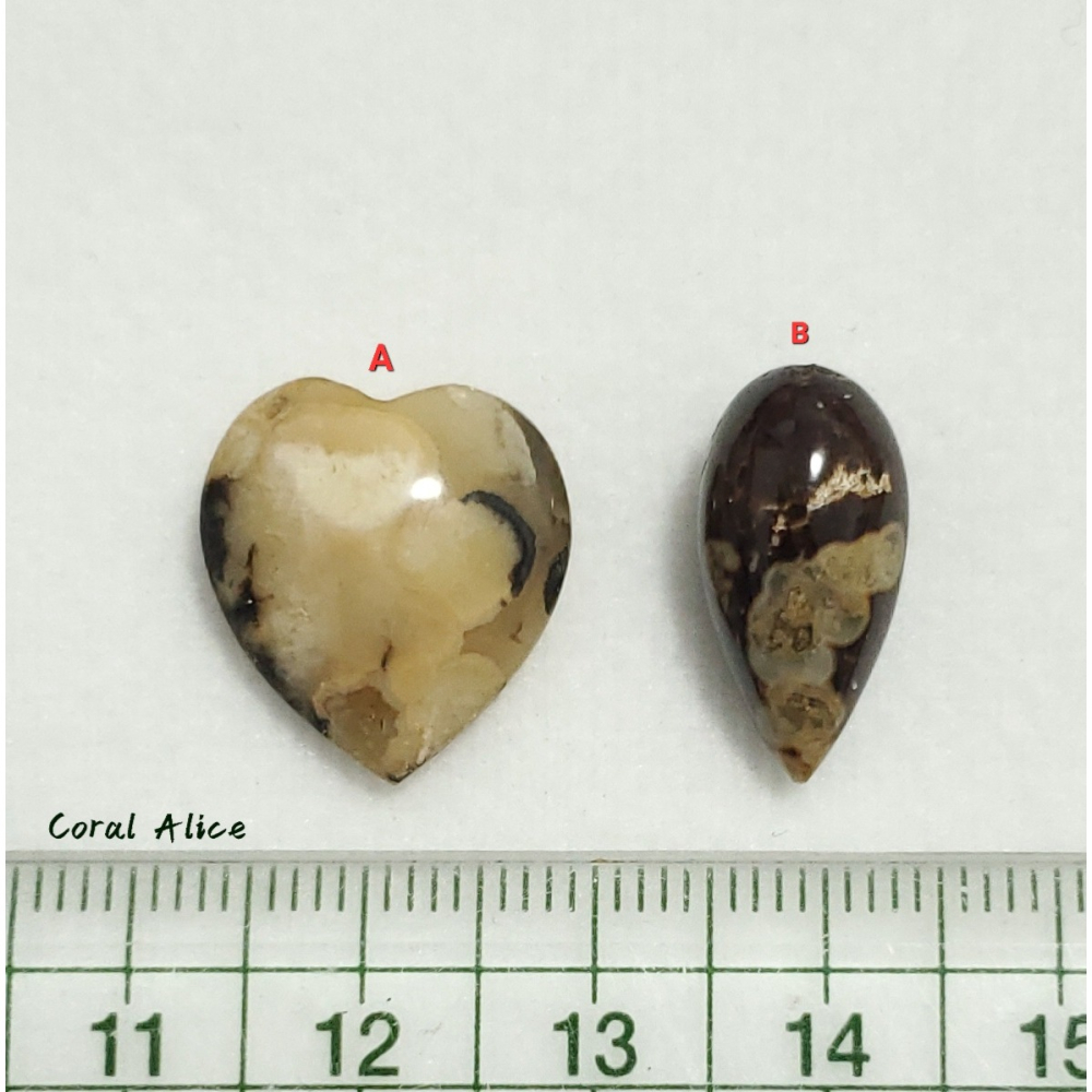 🌟Coral珊寶手作-天然臺灣澎湖文石造型裸石(頂半孔) JD2P1-806-細節圖11