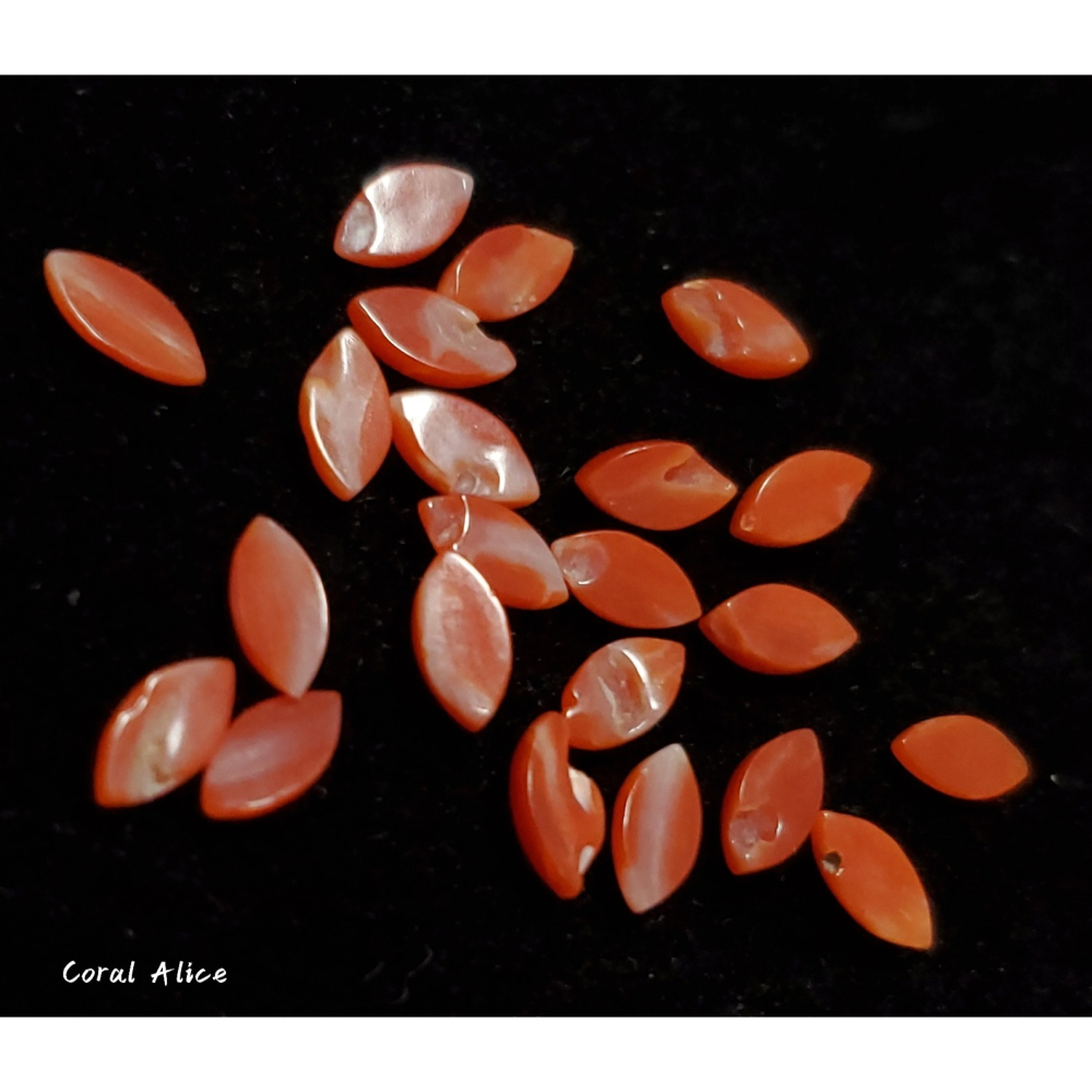 🌟Coral珊寶手作-天然阿卡珊瑚馬眼造型裸石 6*3mm CO2P2-573-細節圖5