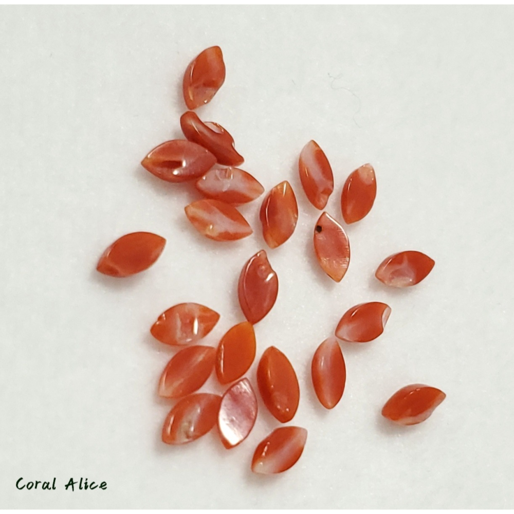 🌟Coral珊寶手作-天然阿卡珊瑚馬眼造型裸石 6*3mm CO2P2-573-細節圖10