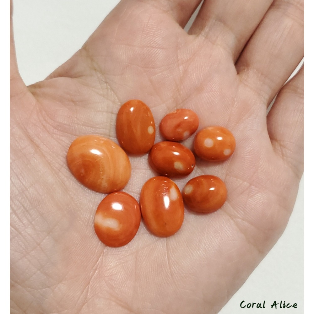 🌟Coral珊寶手作-天然momo珊瑚蛋面裸石 CO2P15098-細節圖6