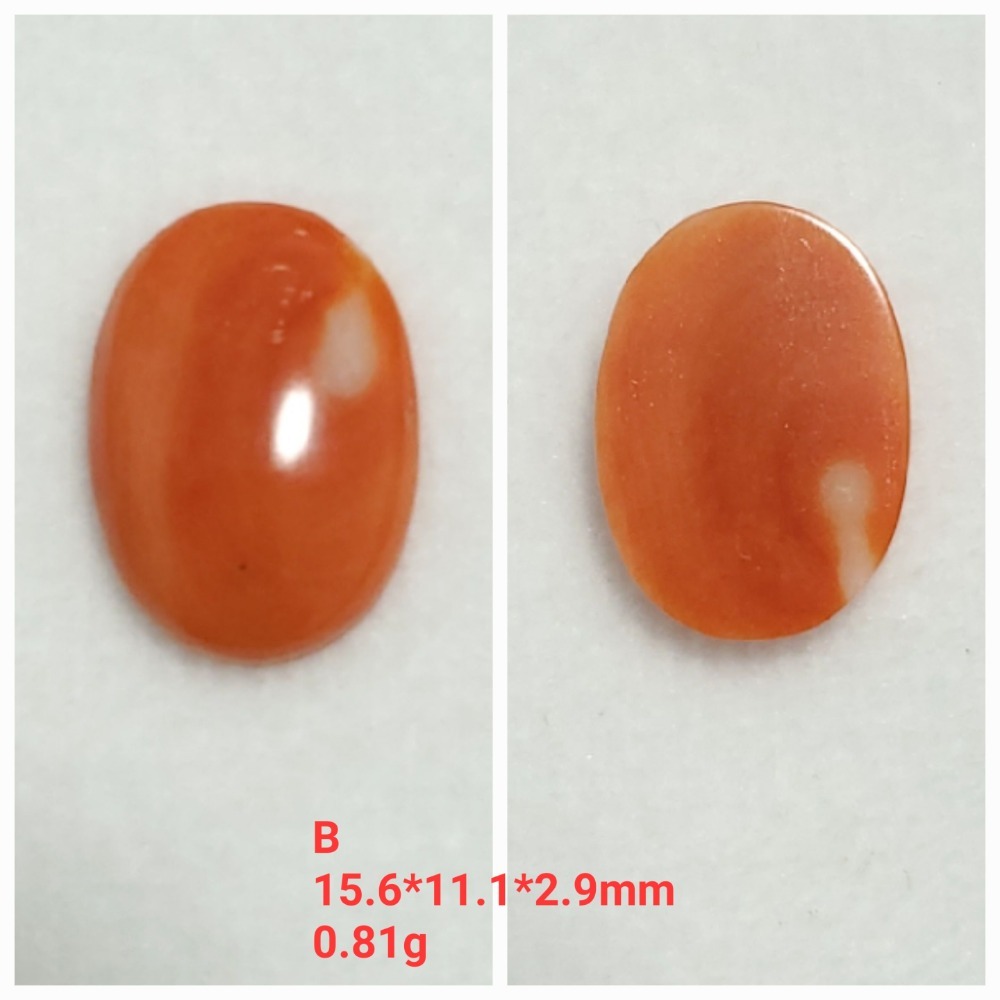 🌟Coral珊寶手作-天然momo珊瑚蛋面裸石 CO2P15098-規格圖11
