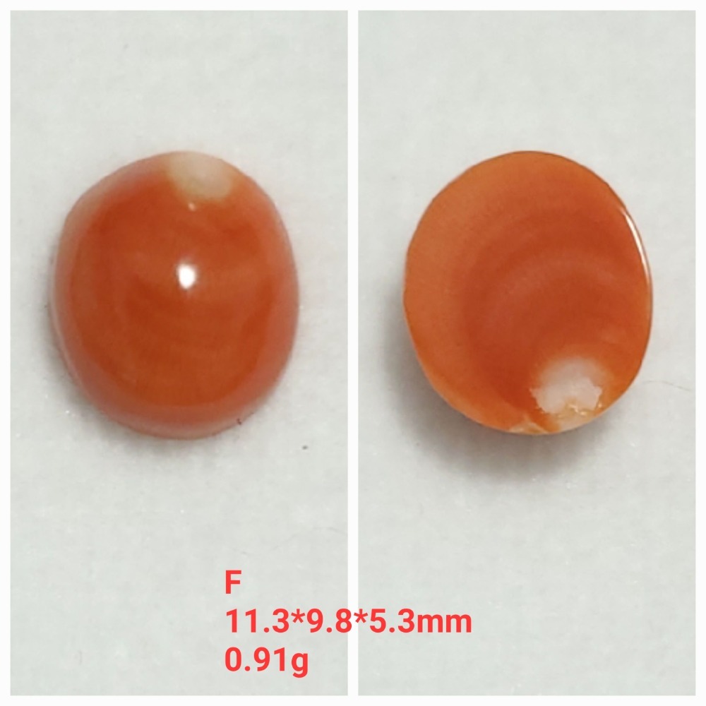 🌟Coral珊寶手作-天然momo珊瑚蛋面裸石 CO2P15098-規格圖11