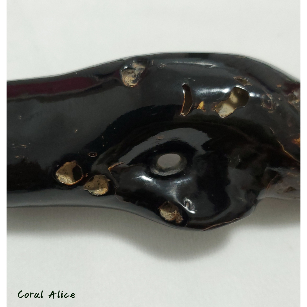🌟Coral珊寶手作-天然黑珊瑚/黑海柳自然枝 18.2cm BC2P1-542-細節圖2