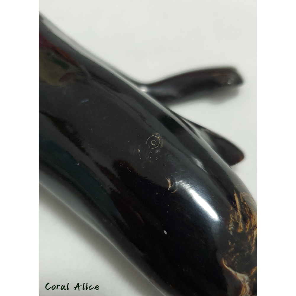 🌟Coral珊寶手作-天然黑珊瑚/黑海柳自然枝 18.2cm BC2P1-542-細節圖3