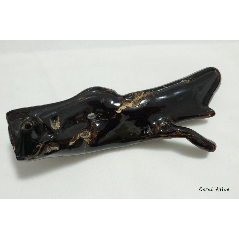 🌟Coral珊寶手作-天然黑珊瑚/黑海柳自然枝 18.2cm BC2P1-542-細節圖4