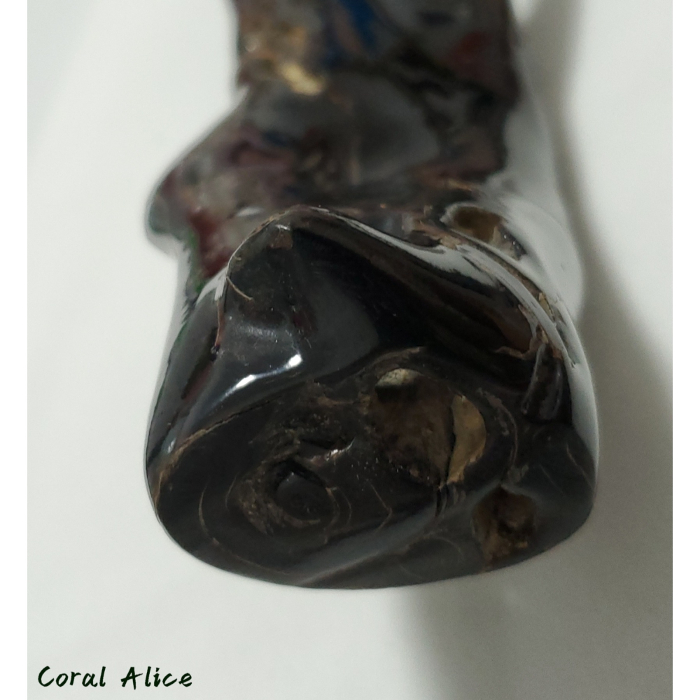 🌟Coral珊寶手作-天然黑珊瑚/黑海柳自然枝 18.2cm BC2P1-542-細節圖5