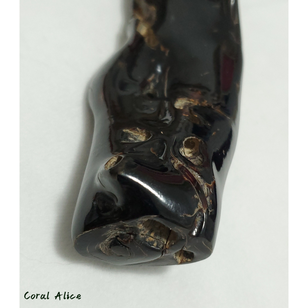 🌟Coral珊寶手作-天然黑珊瑚/黑海柳自然枝 18.2cm BC2P1-542-細節圖8
